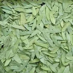 Cassia Angustifolia / Senna Leaves, For Medicines, Packaging Type : PP Bags