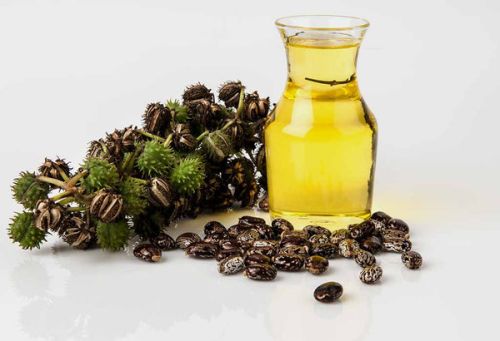 Organic Castor Oil, Shelf Life : 12 Months