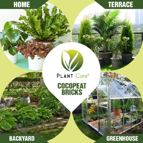 Cocopeat Bricks