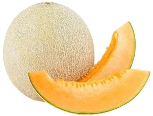 Fresh Muskmelon