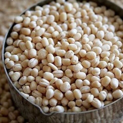 Natural Urad Dall, For Cooking, Form : Solid