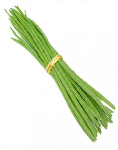 Natural Fresh Drumstick, Packaging Type : PP Bags