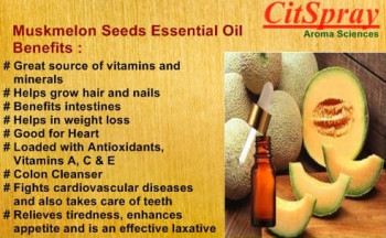 Organic Muskmelon Seed Essential Oil, For Cosmetics, Color : Natural