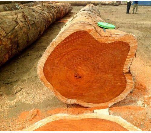 Teak Wood, For Making Furniture, Flooring, Kitchen Cabinets, Staires, Doors, Pattern : Plain