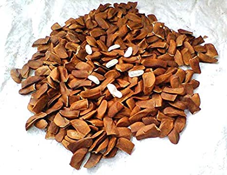 Mahogany Seeds, For Plantation, Color : Reddish Brown