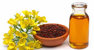 Natural Mustard Oil, For Cooking, Form : Liquid