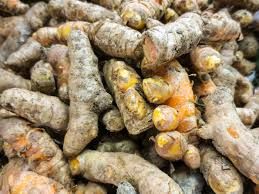 Raw Turmeric Seeds, For Medicine, Feature : Good Aroma, High Nutritional, Natural Taste