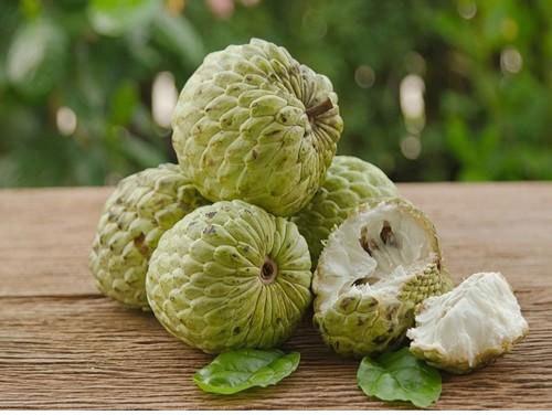 Natural Custard Apple, For Human Consumption, Color : Green