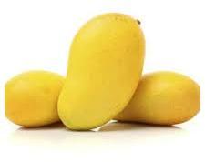 Organic Fresh Amrapali Mango, Color : Yellow