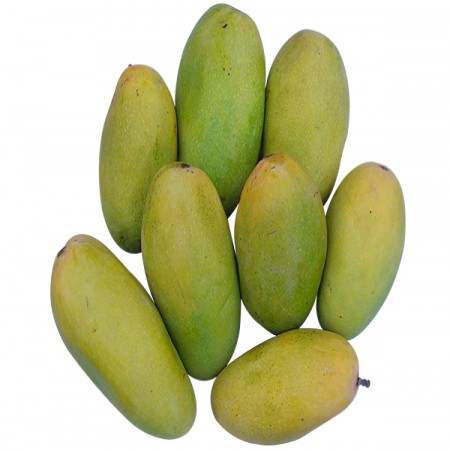 Organic Fresh Dasheri Mango, Shelf Life : 10 Days