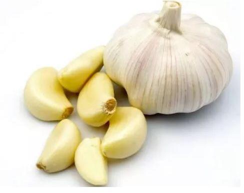 Organic Fresh Garlic, Packaging Type : Gunny Bags