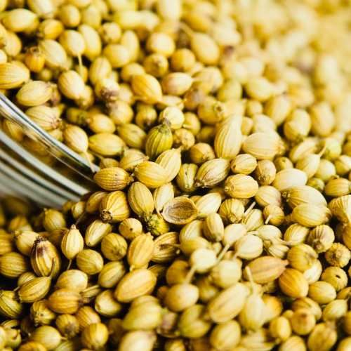 Coriander Seeds