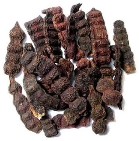 Dried Shikakai, Color : Brown