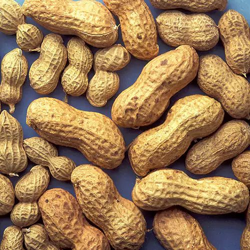 Shelled Peanuts