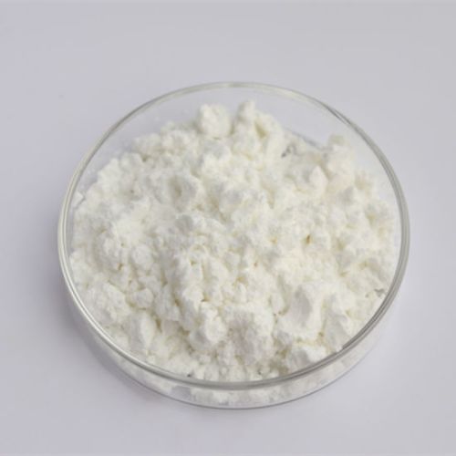 Andrographolide Extract, Form : Powder