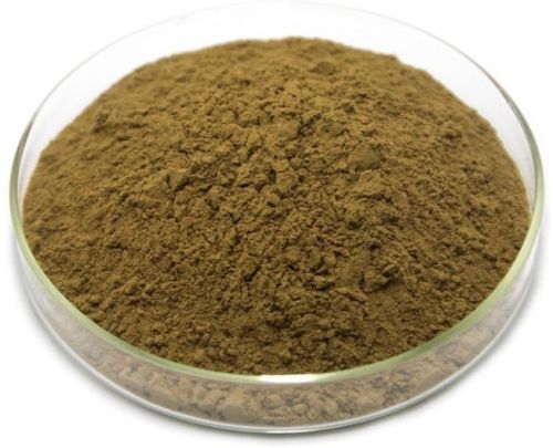 Bacopa Extract, For Medicinal, Form : Powder