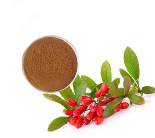 Barberry Extract, For Medicinal, Form : Powder