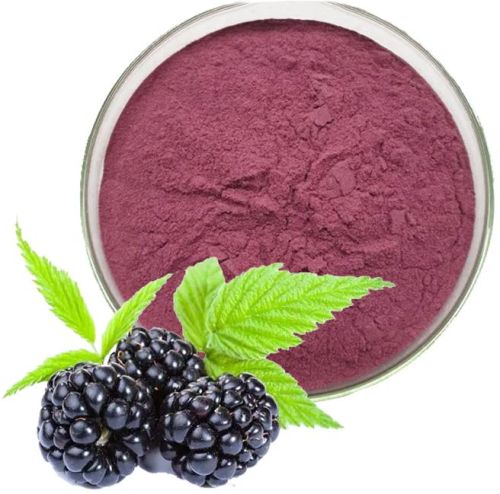 Blackberry Extract, For Food Additives, Form : Powder