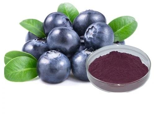Blueberry Extract, Packaging Type : Plastic Packet