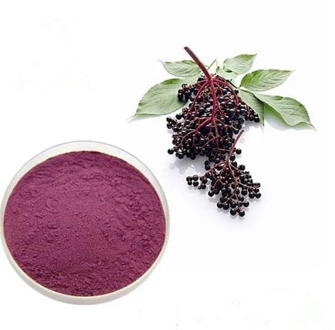 Elderberry Extract, Packaging Type : PP Packets