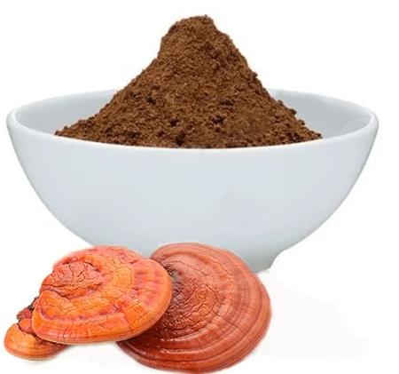 Ganoderma Extract, For Medicinal, Form : Powder