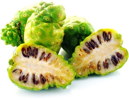 Noni Extract, Form : Powder