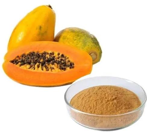 Papaya Extract, For Medicinal, Food Additives, Form : Powder