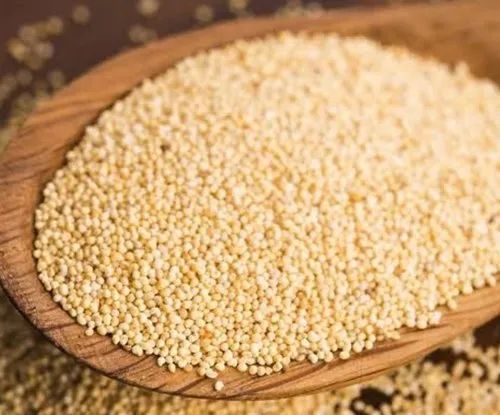 Organic Khas Khas Seeds, Shelf Life : 0-2yrs