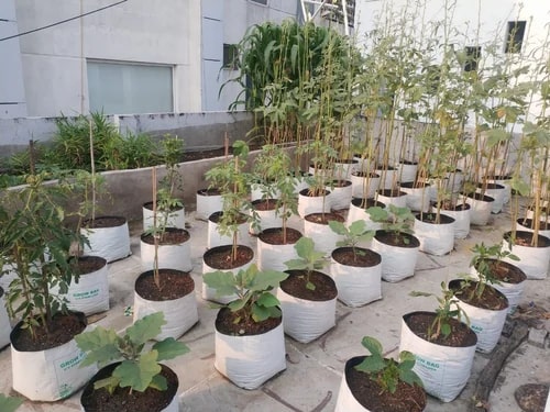 Round UV Stabilized LDPE Grow Bag, Color : White