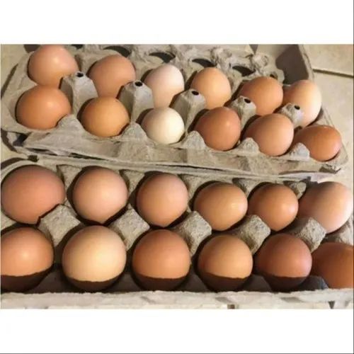 Dark Brown Eggs, For Bakery Use, Human Consumption, Style : Fresh