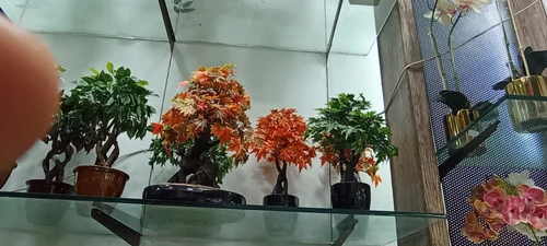 Artificial Flower Bunch And Bonsai Plant, For Home Decor, Length : 2-5 Ft