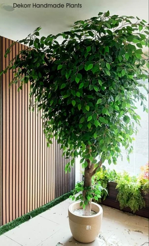 Coated Plastic Green Ficus Artificial Tree, For Decoration, Size : Multisizes