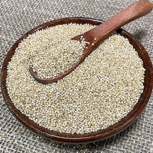 Common Natural Little Millet Seeds, Packaging Type : Gunny Bag