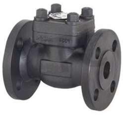 FCS Class 600 Piston Lift Type Check Valve