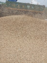 Shree Traders Organic Jowar Powder, Style : Dried, Fresh