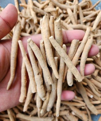 Ashwagandha Roots, For Herbal Products, Medicine, Supplements, Style : Dried