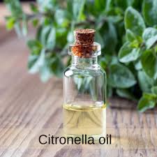 Citronella Oil, Color : Pale Yellow