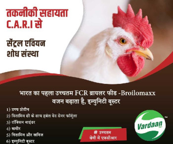 Broiler Feed, Certification : ISO 9001-2008