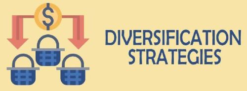 Business Diversification Strategy