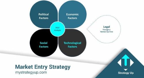 Market Entry Strategies Services