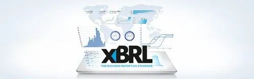 XBRL Data Conversion Services