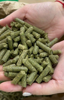 Alfalfa Pellets, Grade : Feed Grade, Moisture : 5-10%