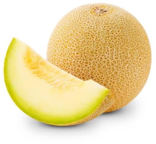 Vedha Round Natural Fresh Sweet Melon, For Human Consumption, Color : Yellow