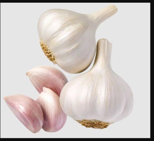 Natural Garlic, For Human Consumption, Food Industry, Certification : FSSAI Certified