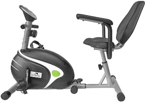 Dolphy Recumbent Exercise Bike