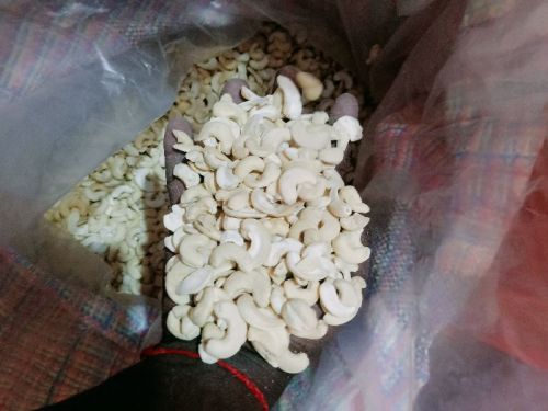 Panruti 10kg Finished Cashew Nuts, For Gh, Size : 240 320 Also JH