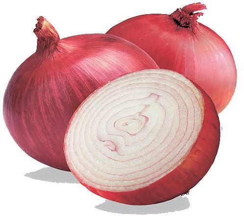 Common Onions, For Human Consumption, Cooking, Home, Hotels, Onion Size Available : Medium