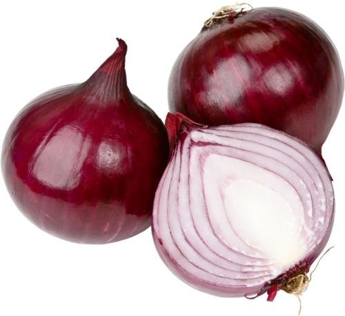 Organic Fresh Onion, Packaging Type : Net Bag