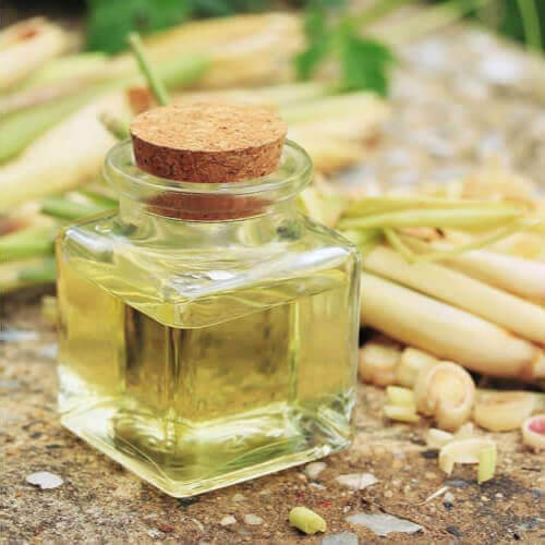 Organic Lemongrass Oil, For Cosmetics Products, Flavouring Tea, Killing Bacteria, Muscle Pain, Reduce Body Aches