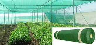 Rectangular HDPE Green Shade Net, For Outdoor, Length : 3-50 Meter